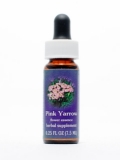 FES Pink Yarrow (rosa Schafgarbe) FES Pink Yarrow (rosa Schafgarbe)