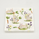 Bunnies with Carrots Bunnies with Carrots