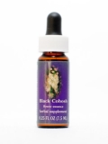 FES Black Cohosh (Trauben-Silberkerze) FES Black Cohosh (Trauben-Silberkerze)