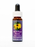 FES Black Eyed Susan (rauher Sonnenhut) FES Black Eyed Susan (rauher Sonnenhut)