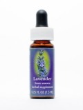 FES Lavender (Lavendel) FES Lavender (Lavendel)