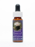 FES Mountain Pennyroyal (Indianernessel) FES Mountain Pennyroyal (Indianernessel)