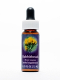FES Rabbitbrush (Hasenbürste) FES Rabbitbrush (Hasenbürste)