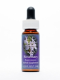 FES Rosemary (Rosmarin) FES Rosemary (Rosmarin)