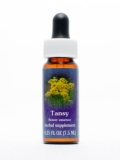 FES Tansy (Rainfarn) FES Tansy (Rainfarn)