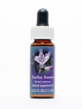 FES Yerba Santa (Bergbalsam) FES Yerba Santa (Bergbalsam)