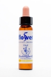 Healing Herbs 39 Five Flower Remedy Notfalltropfen Healing Herbs 39 Five Flower Remedy Notfalltropfen