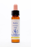 Healing Herbs 02 Aspen (Zitterpappel) Healing Herbs 02 Aspen (Zitterpappel)
