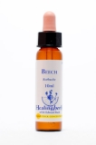 Healing Herbs 03 Beech (Rotbuche) Healing Herbs 03 Beech (Rotbuche)