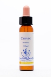 Healing Herbs 05 Cerato (Bleiwurz, Hornkraut) Healing Herbs 05 Cerato (Bleiwurz, Hornkraut)