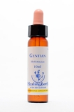Healing Herbs 12 Gentian (Enzian) Healing Herbs 12 Gentian (Enzian)