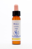 Healing Herbs 15 Holly (Stechpalme) Healing Herbs 15 Holly (Stechpalme)