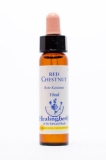Healing Herbs 25 Red Chestnut (Rote Kastanie) Healing Herbs 25 Red Chestnut (Rote Kastanie)