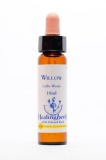 Healing Herbs 38 Willow (gelbe Weide) Healing Herbs 38 Willow (gelbe Weide)