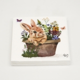 Colette Napkin Colette Napkin