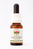 AUB Peach-Flowered-Tea-Tree AUB Peach-Flowered-Tea-Tree