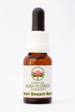 AUB Sturt Desert Rose AUB Sturt Desert Rose