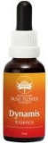 AUB Dynamis Essence AUB Dynamis Essence