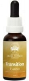 AUB Transition Essence AUB Transition Essence