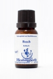 Healing Herbs 03 Beech Globuli Healing Herbs 03 Beech Globuli