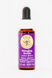 FES Stinging Nettle (Brennnessel) FES Stinging Nettle (Brennnessel)