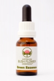 AUB Green Essence Companion (Begleiter-) Essenz AUB Green Essence Companion (Begleiter-) Essenz