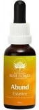 AUB Abund Essence AUB Abund Essence