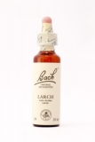 19 Larch (Lärche) 19 Larch (Lärche)