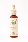 21 Mustard (Ackersenf) 21 Mustard (Ackersenf)