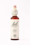 32 Vine (Weinrebe) 32 Vine (Weinrebe)