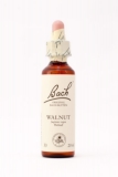 33 Walnut (Walnuss) 33 Walnut (Walnuss)