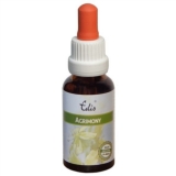 Edis Bio 01 Agrimony alkoholfrei Edis Bio 01 Agrimony alkoholfrei