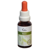 Edis Bio 03 Beech alkoholfrei Edis Bio 03 Beech alkoholfrei