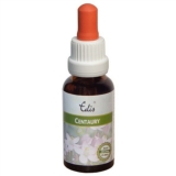 Edis Bio 04 Centaury alkoholfrei Edis Bio 04 Centaury alkoholfrei