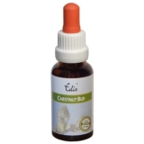 Edis Bio 07 Chestnut Bud alkoholfrei Edis Bio 07 Chestnut Bud alkoholfrei