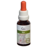 Edis Bio 11 Elm alkoholfrei Edis Bio 11 Elm alkoholfrei
