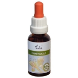 Edis Bio 16 Honeysuckle alkoholfrei Edis Bio 16 Honeysuckle alkoholfrei