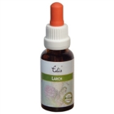 Edis Bio 19 Larch alkoholfrei Edis Bio 19 Larch alkoholfrei
