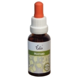 Edis Bio 21 Mustard alkoholfrei Edis Bio 21 Mustard alkoholfrei