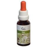 Edis Bio 22 Oak alkoholfrei Edis Bio 22 Oak alkoholfrei