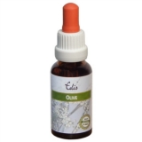 Edis Bio 23 Olive alkoholfrei Edis Bio 23 Olive alkoholfrei