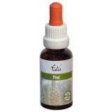Edis Bio 24 Pine alkoholfrei Edis Bio 24 Pine alkoholfrei
