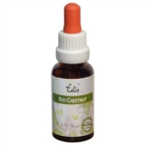 Edis Bio 25 Red Chestnut alkoholfrei Edis Bio 25 Red Chestnut alkoholfrei