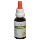 Edis Bio 28 Scleranthus alkoholfrei Edis Bio 28 Scleranthus alkoholfrei