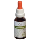 Edis Bio 30 Sweet Chestnut alkoholfrei Edis Bio 30 Sweet Chestnut alkoholfrei