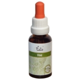 Edis Bio 32 Vine alkoholfrei Edis Bio 32 Vine alkoholfrei