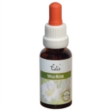 Edis Bio 37 Wild Rose alkoholfrei Edis Bio 37 Wild Rose alkoholfrei