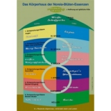 Plakat NOREIA Körperhaus Plakat NOREIA Körperhaus